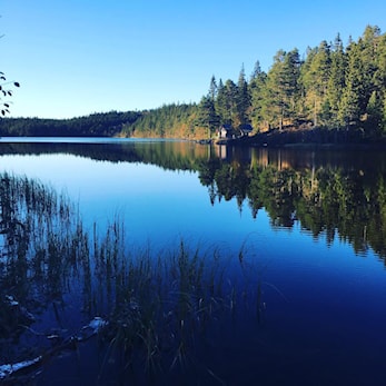 Turer i regi av ski-friidrett i sommerferien